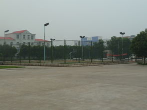 焦作高新技術(shù)創(chuàng)業(yè)服務(wù)中心 構(gòu)建全方位技術(shù)服務(wù)平臺(tái)，賦能企業(yè)創(chuàng)新成長